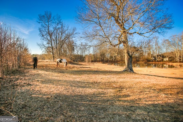 444 Agape Rd, Carrollton, GA 30116 - view of yard featuring a water view