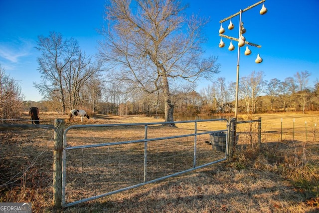 view of yard featuring a rural view