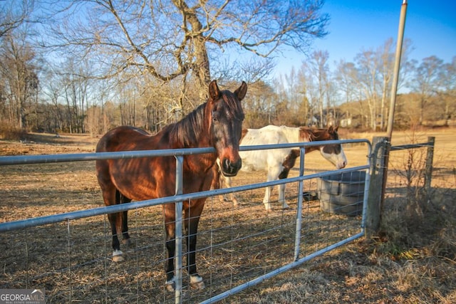 view of stable