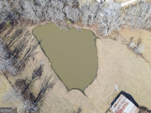 444 Agape Rd, Carrollton, GA 30116 - view of property location with a large body of water