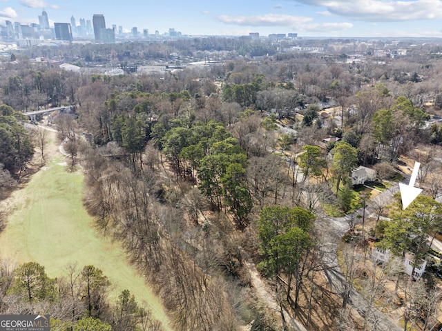 bird's eye view