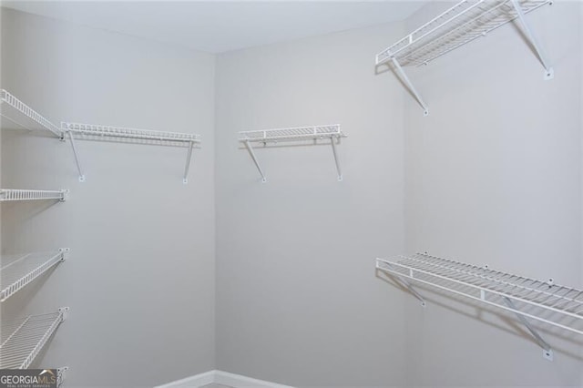 view of spacious closet