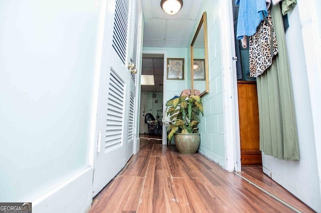 corridor featuring dark hardwood / wood-style flooring