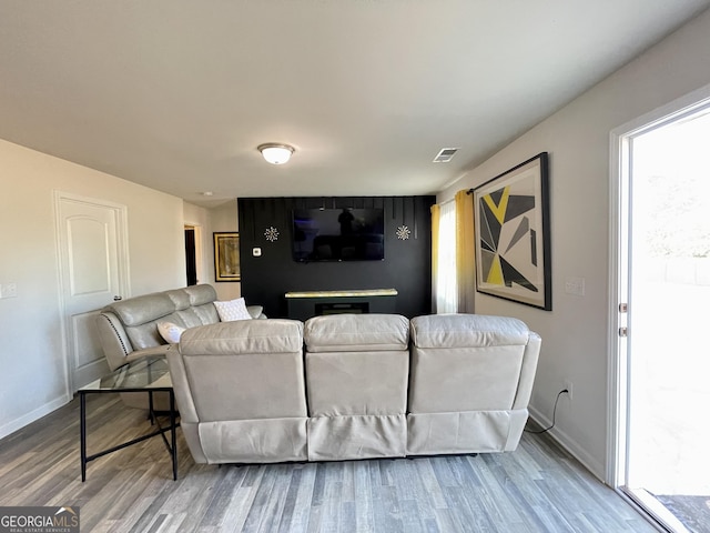 living room featuring wood-type flooring