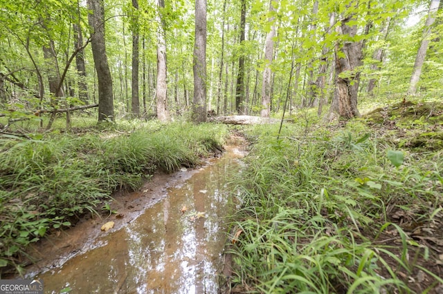 view of nature