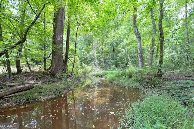 view of landscape with a water view