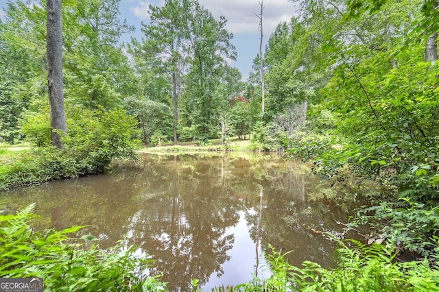 view of water feature