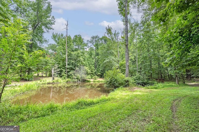 view of yard with a water view