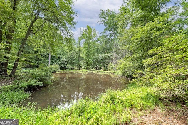 view of landscape featuring a water view