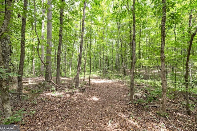 view of local wilderness