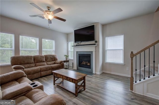 living room with ceiling fan and wood-type flooring