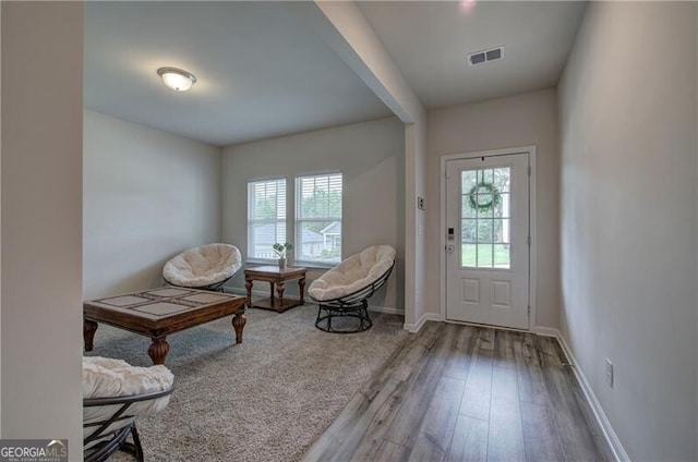 foyer entrance featuring wood-type flooring