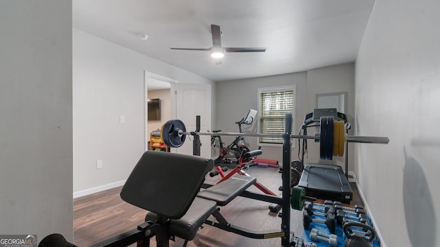 workout room with hardwood / wood-style flooring and ceiling fan