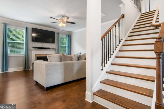 living room with crown molding, dark wood-type flooring, a wealth of natural light, and ceiling fan