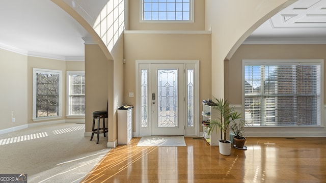 foyer with ornamental molding, a high ceiling, and a wealth of natural light