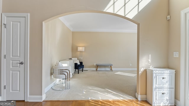 interior space with crown molding and carpet