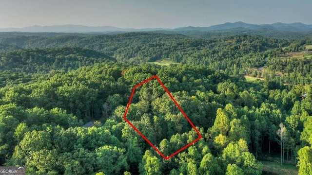 Listing photo 3 for LOT51 River Ridge Rd Unit 51, Blue Ridge GA 30513