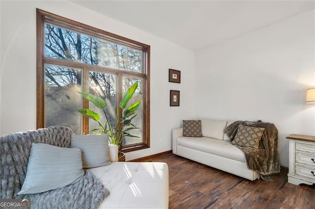 living room with dark hardwood / wood-style floors