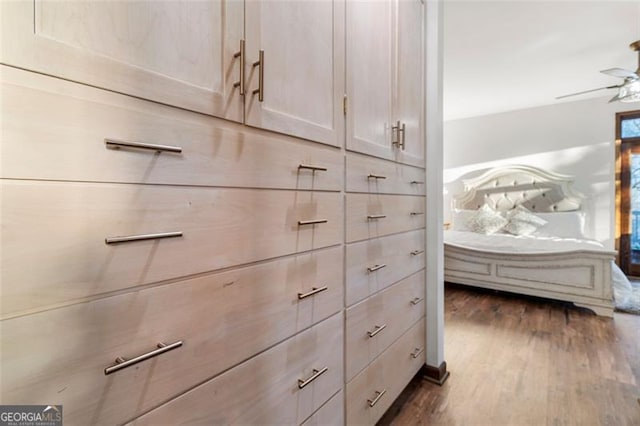 spacious closet with ceiling fan and dark hardwood / wood-style floors