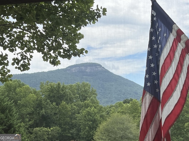 view of mountain feature