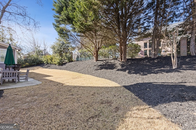 view of yard featuring a patio