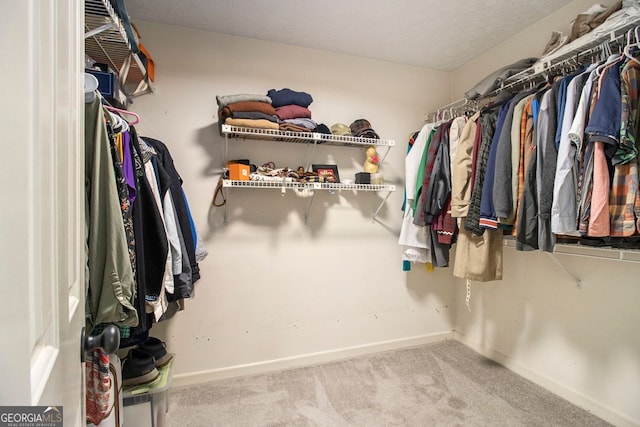 walk in closet with carpet floors