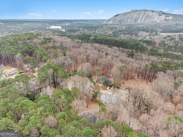 view of mountain feature