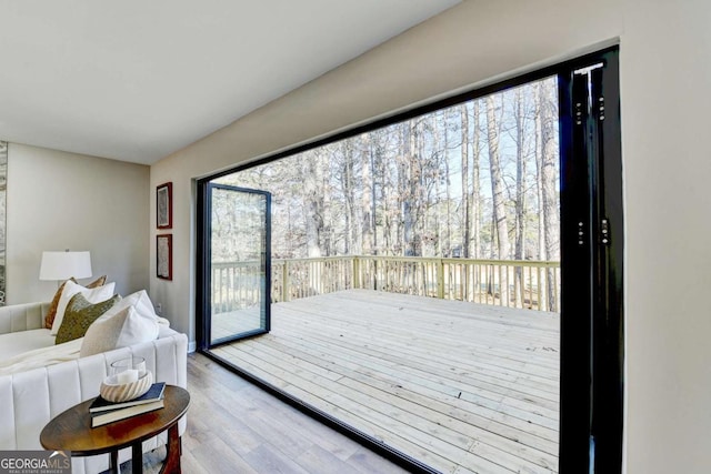 interior space featuring access to exterior and light wood-type flooring