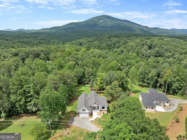 drone / aerial view featuring a mountain view