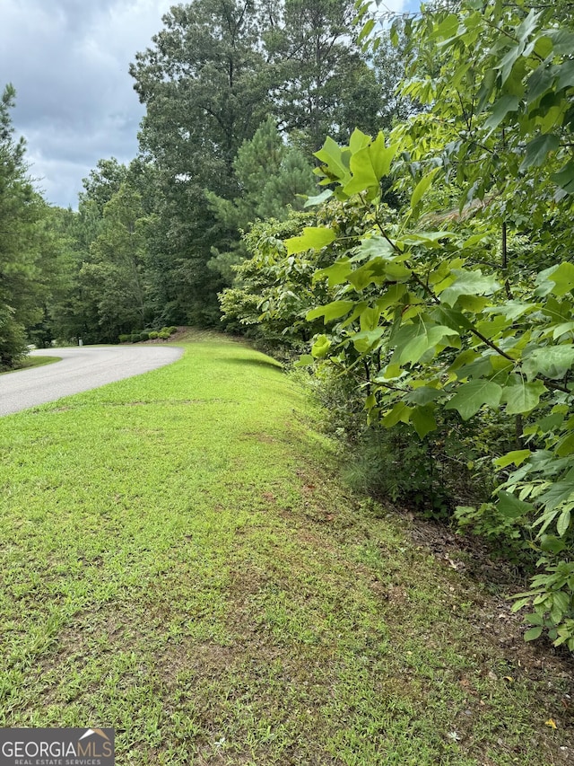 Listing photo 3 for LT5 Harris Creek Dr, Ellijay GA 30540