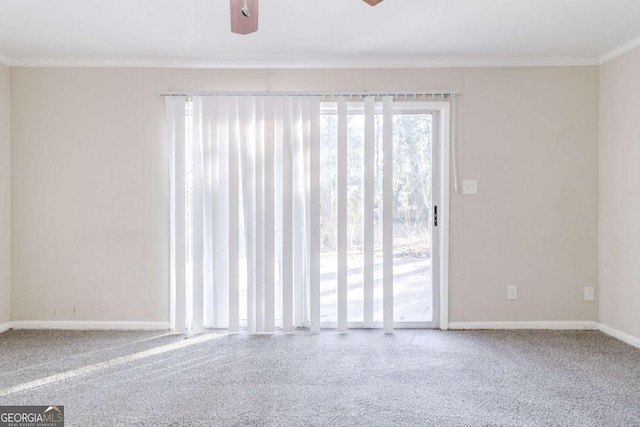 unfurnished room featuring ceiling fan, ornamental molding, and carpet floors