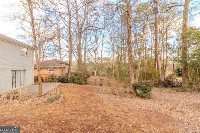 view of yard featuring a patio