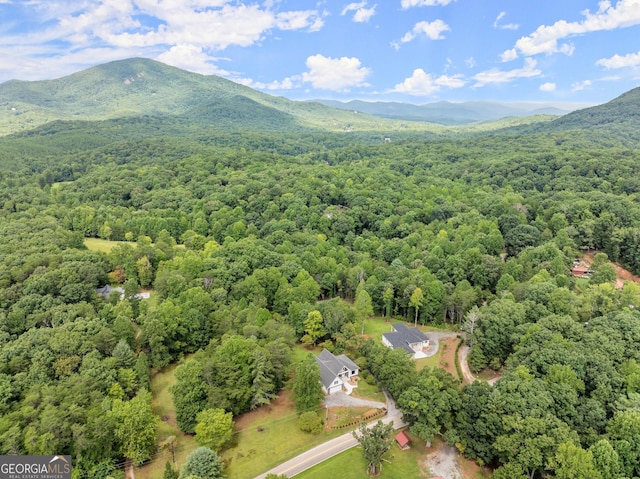 drone / aerial view featuring a mountain view