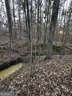 Listing photo 3 for 00 River Ridge Trl, Sparta GA 31087