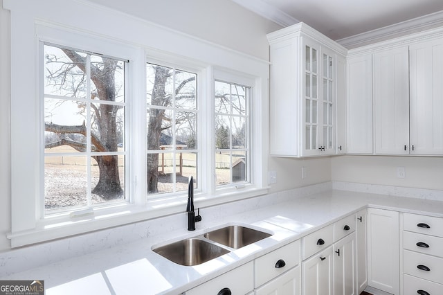 kitchen featuring white cabinetry, ornamental molding, and sink