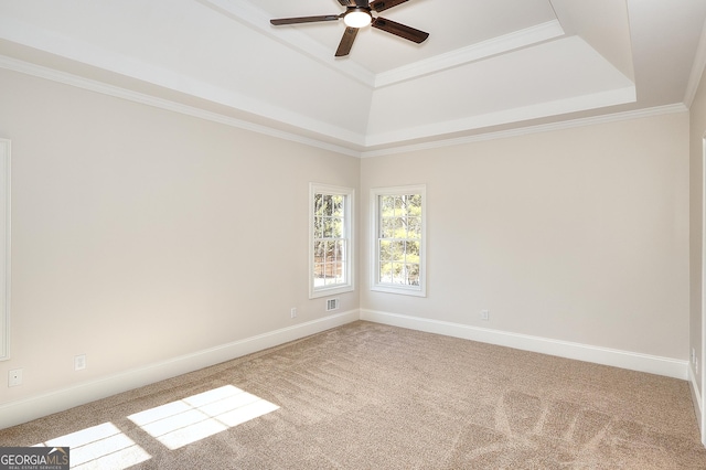 spare room with crown molding, carpet, and a tray ceiling