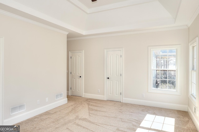 empty room with a raised ceiling, ornamental molding, and light colored carpet