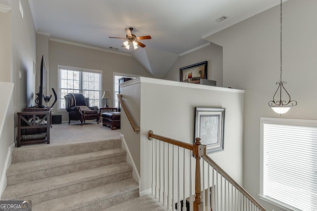 stairway featuring ceiling fan, ornamental molding, carpet flooring, and lofted ceiling