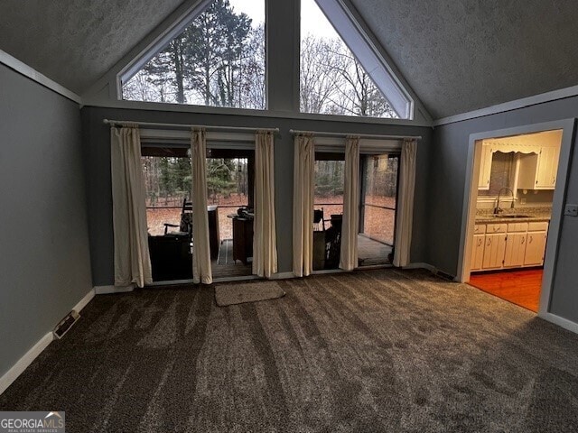 carpeted spare room with a textured ceiling, baseboards, a sink, and lofted ceiling