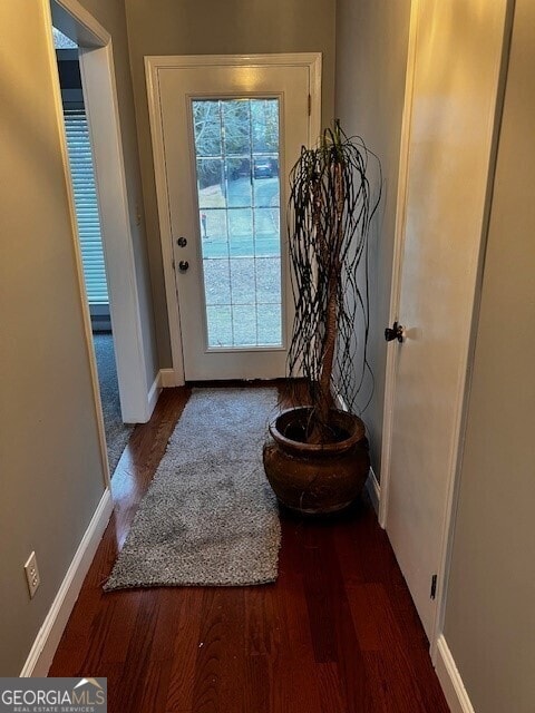 entryway with dark wood-type flooring