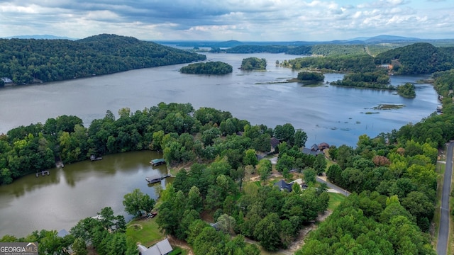 drone / aerial view featuring a water and mountain view