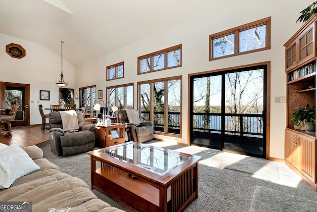 living room featuring hardwood / wood-style floors and high vaulted ceiling