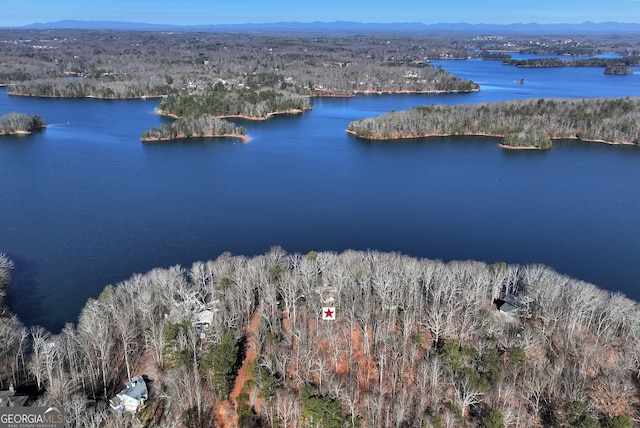 birds eye view of property with a water and mountain view