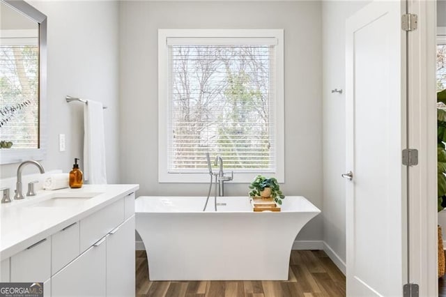 bathroom featuring a bathing tub, hardwood / wood-style floors, and vanity