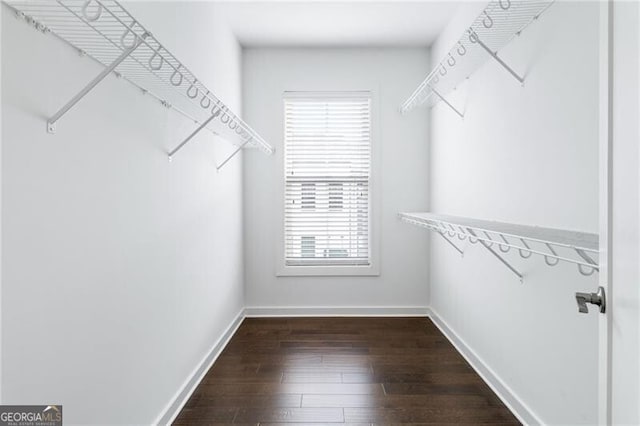 walk in closet with dark hardwood / wood-style floors