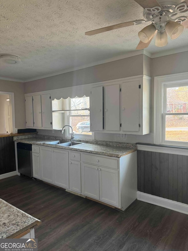 kitchen with white cabinetry, a healthy amount of sunlight, dishwasher, and sink