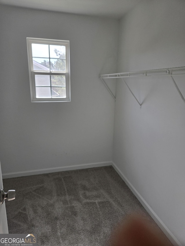 walk in closet with dark colored carpet