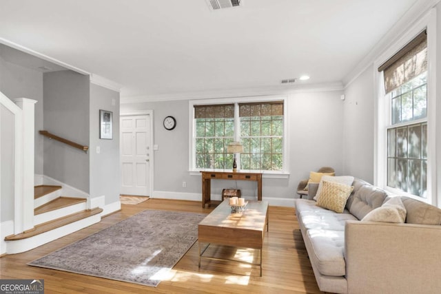 living room featuring crown molding and light hardwood / wood-style floors