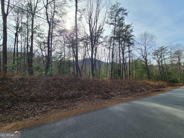 M20 Skyview Dr, Ellijay GA, 30536 land for sale