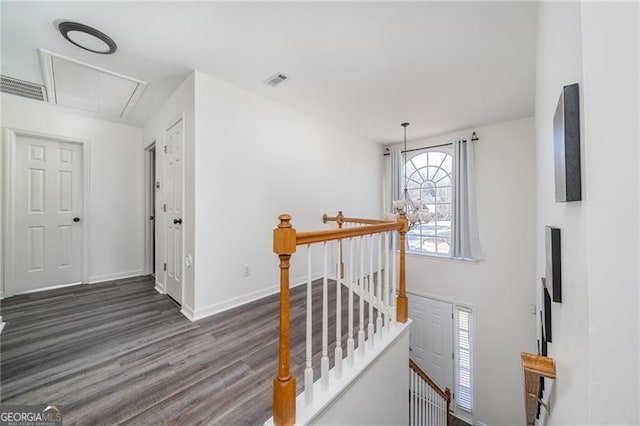 hallway with dark wood-type flooring